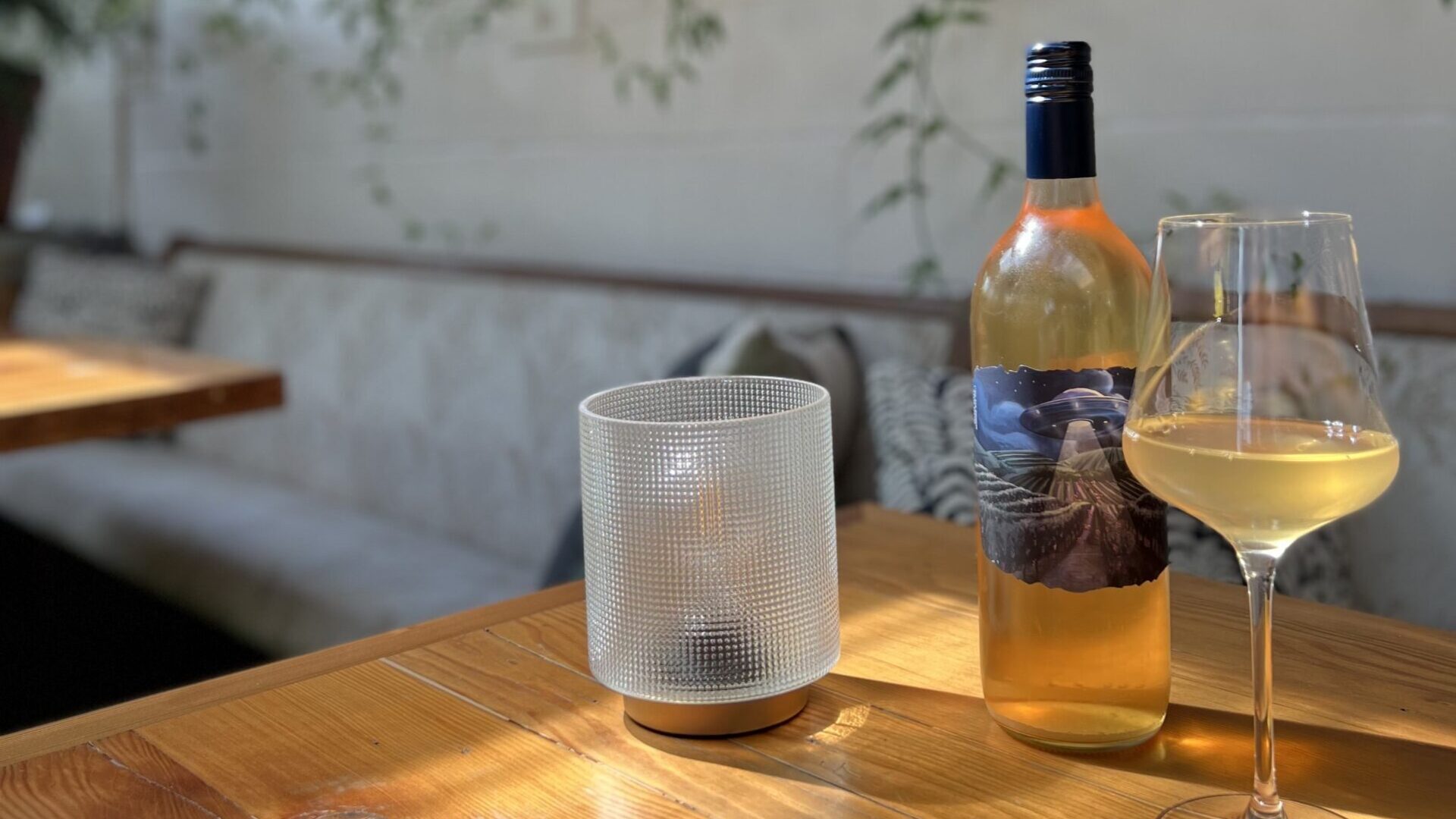 This Portland Wine Bar Wants to Share the World of Wine Tock